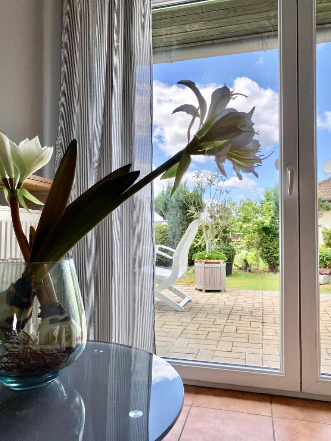 Apartmenthaus Luett Meer Ludorf Zewnętrze zdjęcie